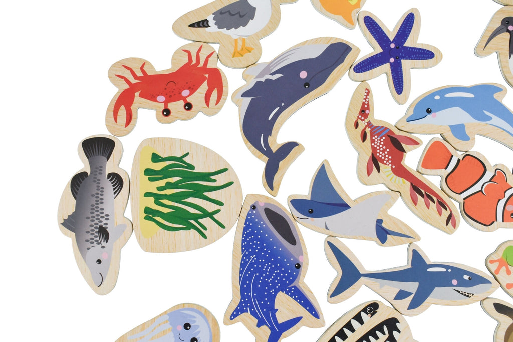 Fridge Friends Magnetic Australian Sea Animals 25 Pieces Educational Fridge Magnets Set For Kids Exploring Marine Life
