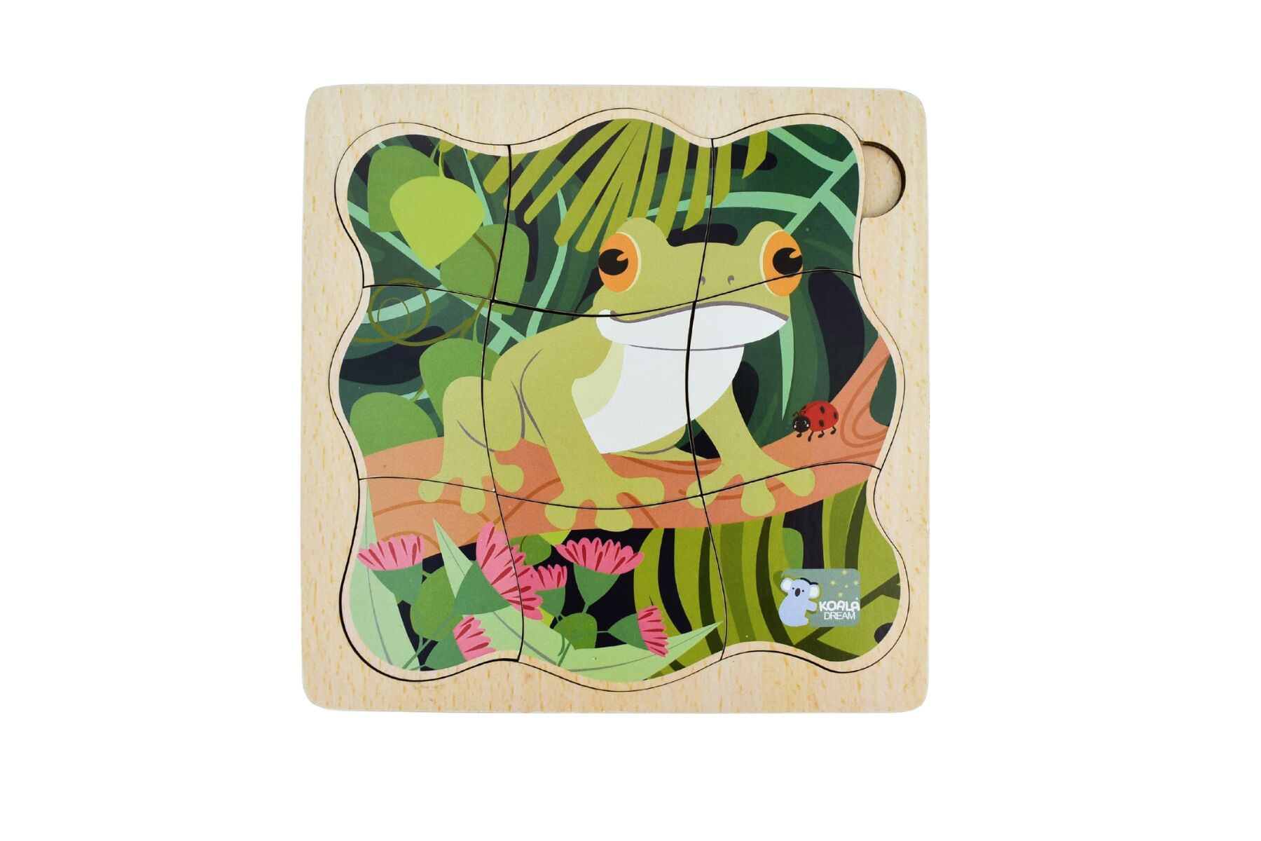 Bush Buddies Green Tree Frog Life Cycle Layer Puzzle Educational Wooden Puzzle For Kids By Koala Dream