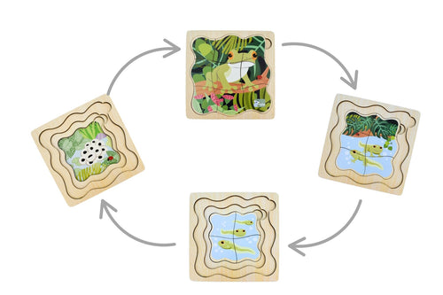Bush Buddies Green Tree Frog Life Cycle Layer Puzzle Educational Wooden Puzzle For Kids By Koala Dream