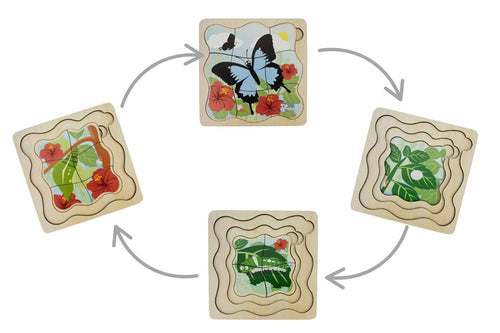 Bush Buddies Ulysses Butterfly Life Cycle Layer Puzzle Koala Dream Wooden Educational Puzzle For STEM Learning