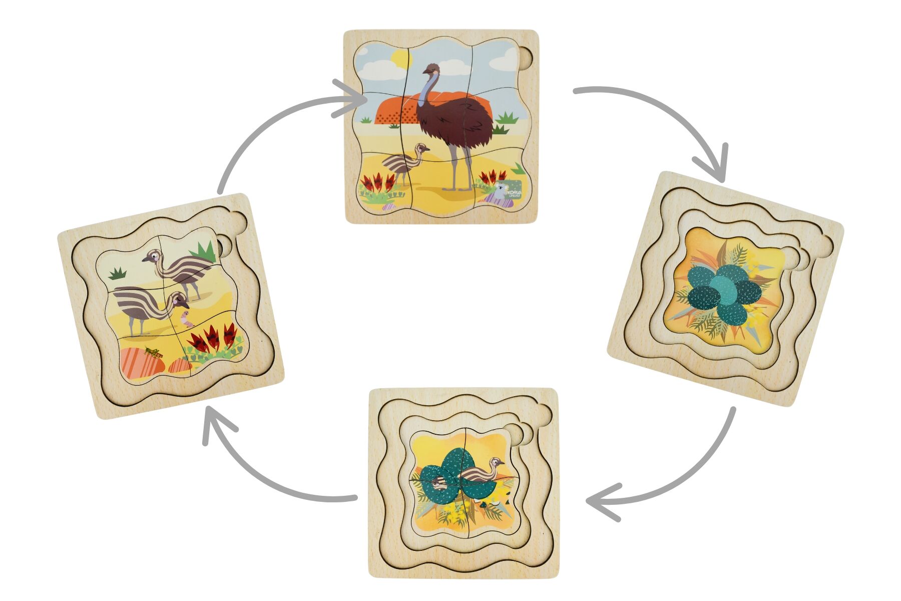 Bush Buddies Emu Life Cycle Layer Puzzle Wooden Educational Toy Four Layer Peel Back Reveal Egg To Adult Koala Dream