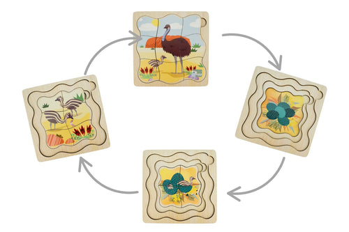 Bush Buddies Emu Life Cycle Layer Puzzle Wooden Educational Toy Four Layer Peel Back Reveal Egg To Adult Koala Dream