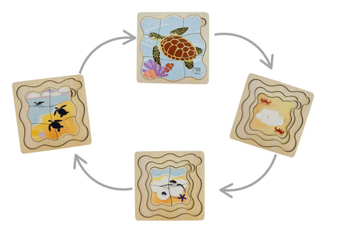 Bush Buddies Four Layer Green Sea Turtle Life Cycle Wooden Puzzle For Kids By Koala Dream Educational Toy