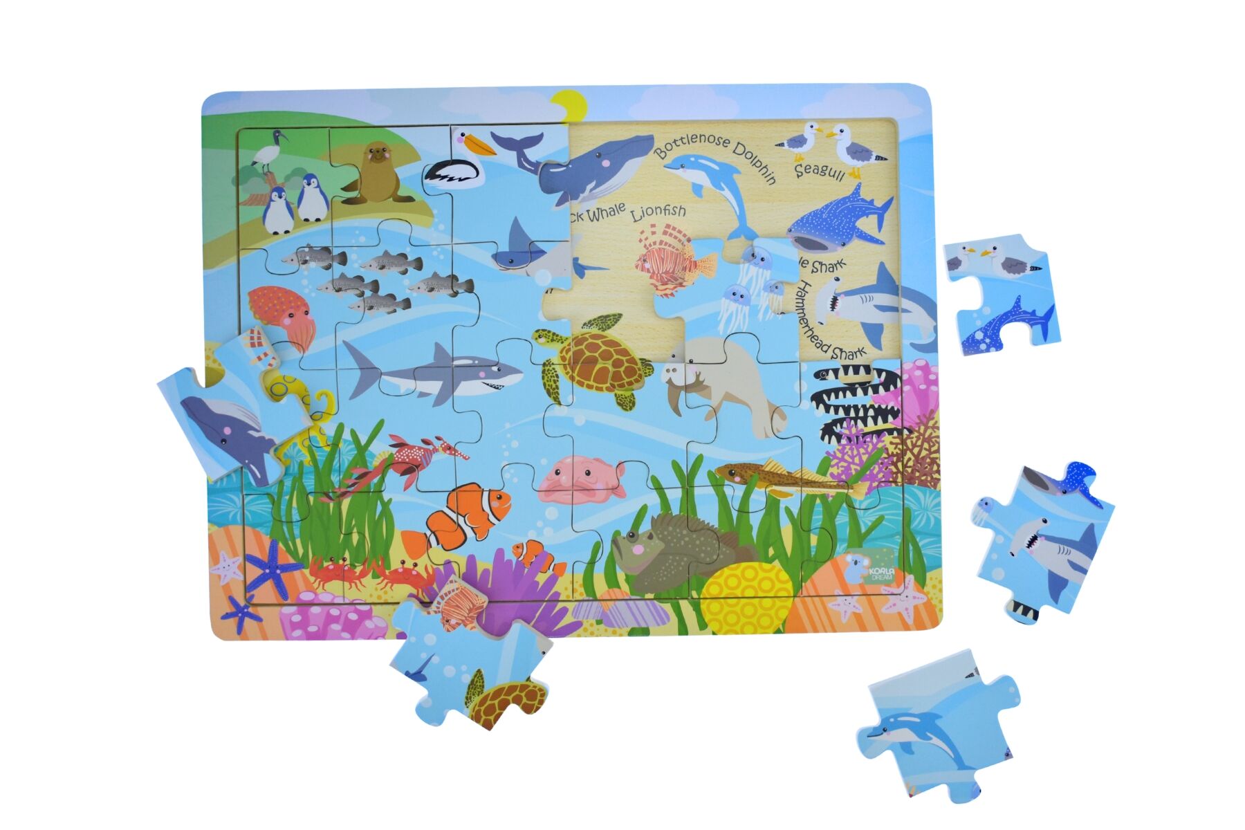 Koala Dream 24 Piece Jigsaw Puzzle Aussie Sea Animals And Their Names Educational Marine Life Learning Toy For Kids